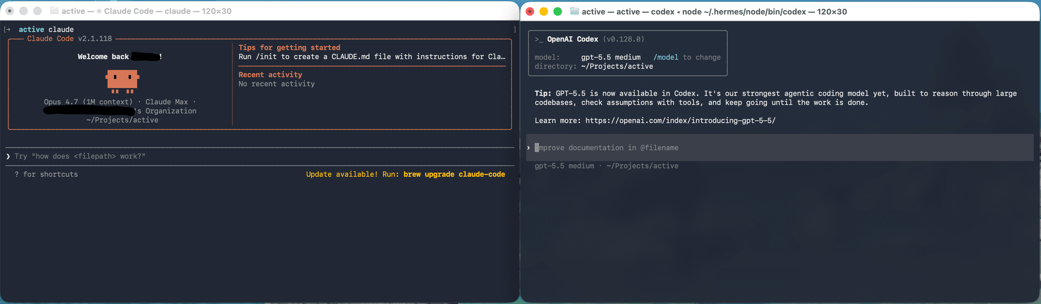 Two terminal windows side by side: Claude Code on the left showing 'Welcome back' with model and project info, and OpenAI Codex on the right showing the same project directory with the gpt-5.5 model selected. Both have an empty input box at the bottom waiting for a prompt.