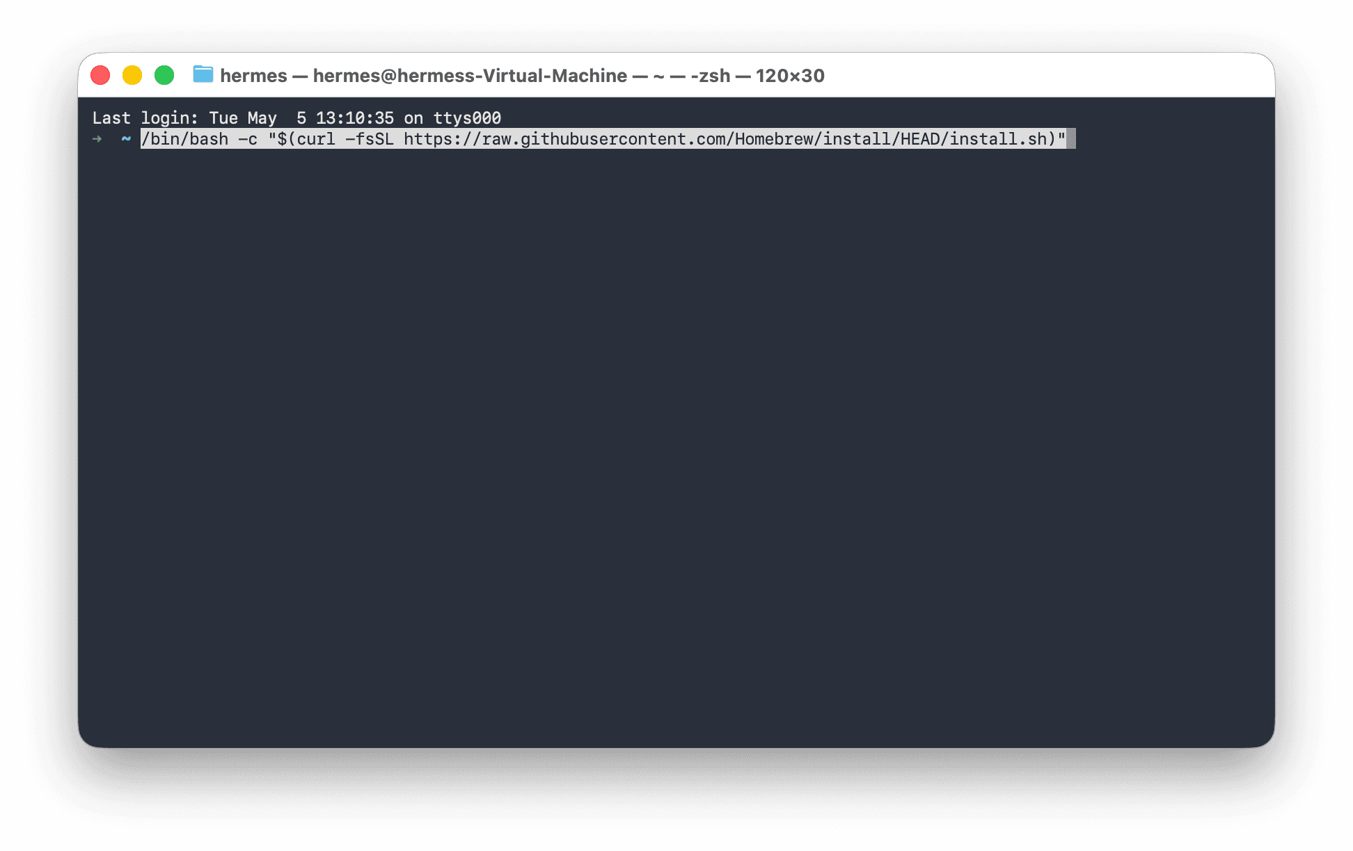Terminal with the Homebrew install command (a long /bin/bash -c curl line) pasted on a single line, cursor at the end, ready to be run.